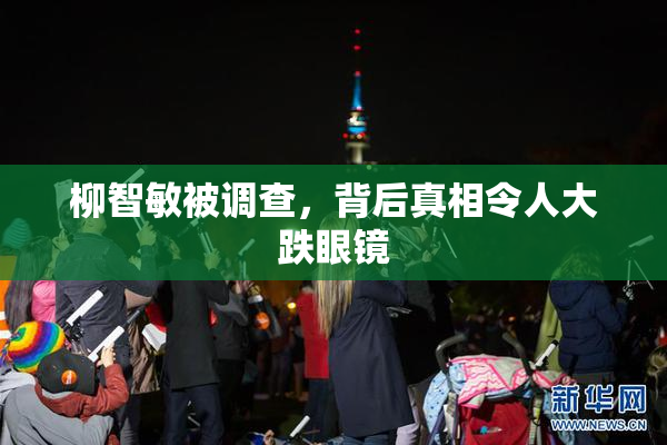 柳智敏被调查，背后真相令人大跌眼镜