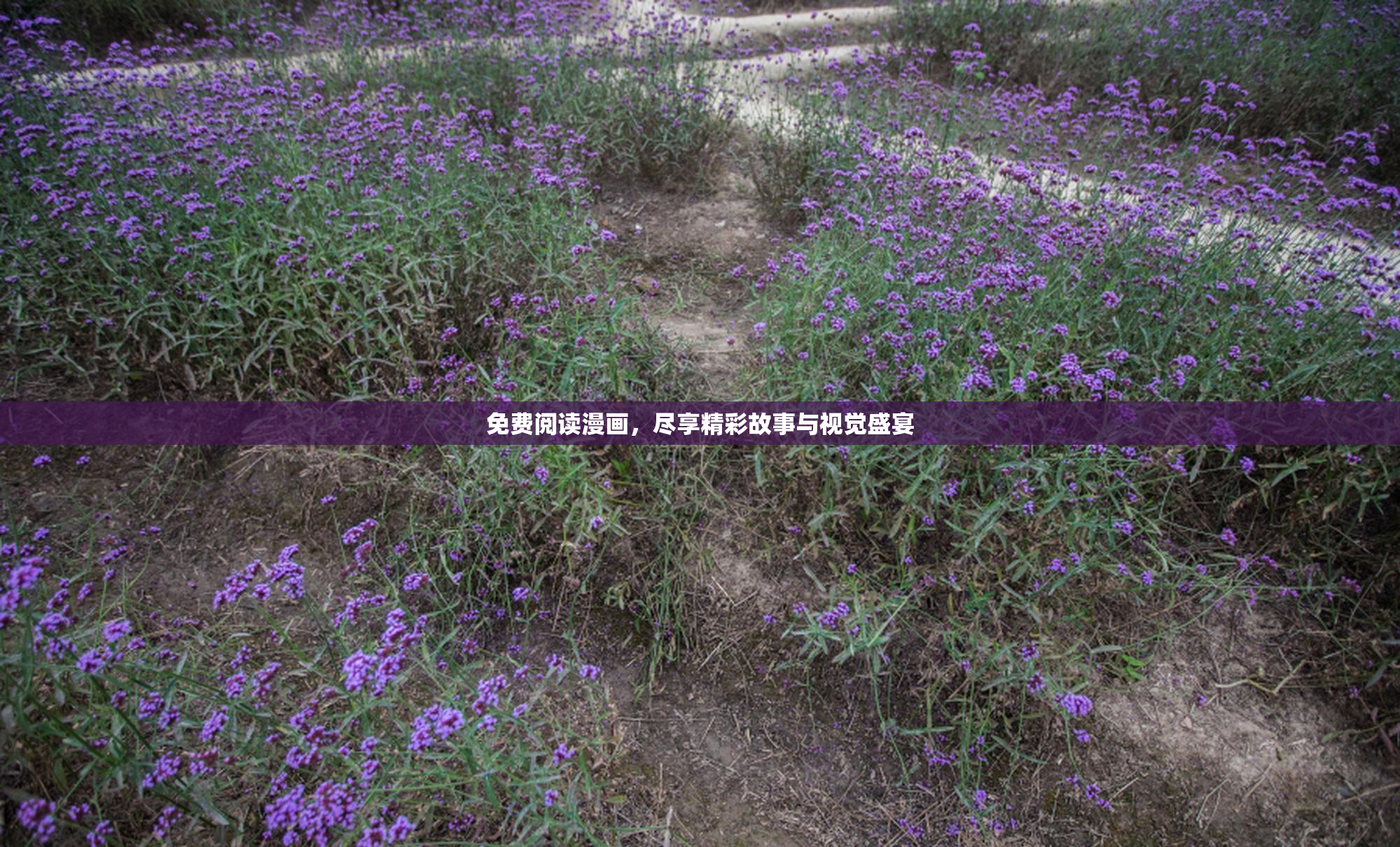 免费阅读漫画，尽享精彩故事与视觉盛宴