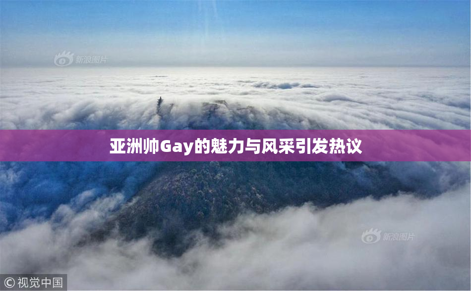 亚洲帅Gay的魅力与风采引发热议