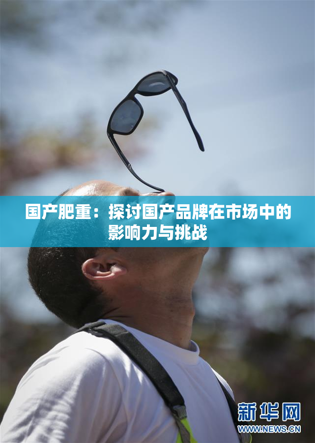 国产肥重：探讨国产品牌在市场中的影响力与挑战