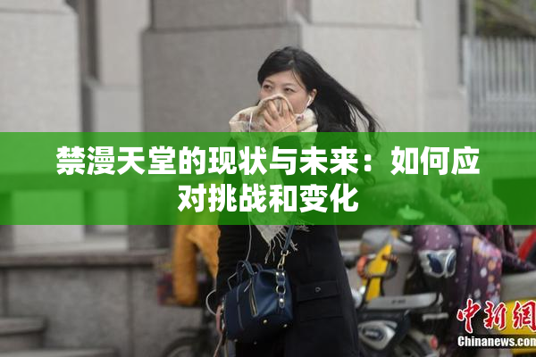 禁漫天堂的现状与未来：如何应对挑战和变化