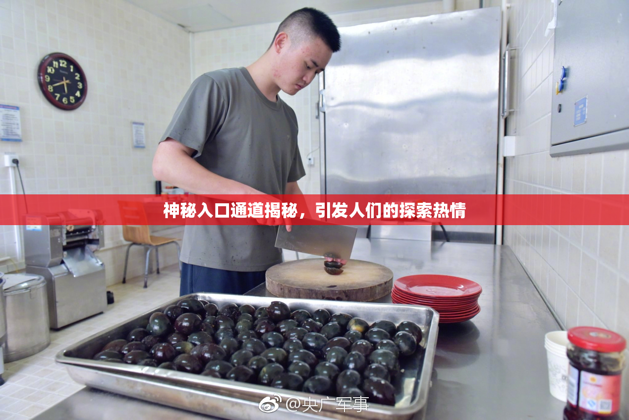 神秘入口通道揭秘，引发人们的探索热情