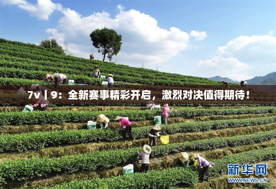 7v丨9：全新赛事精彩开启，激烈对决值得期待！