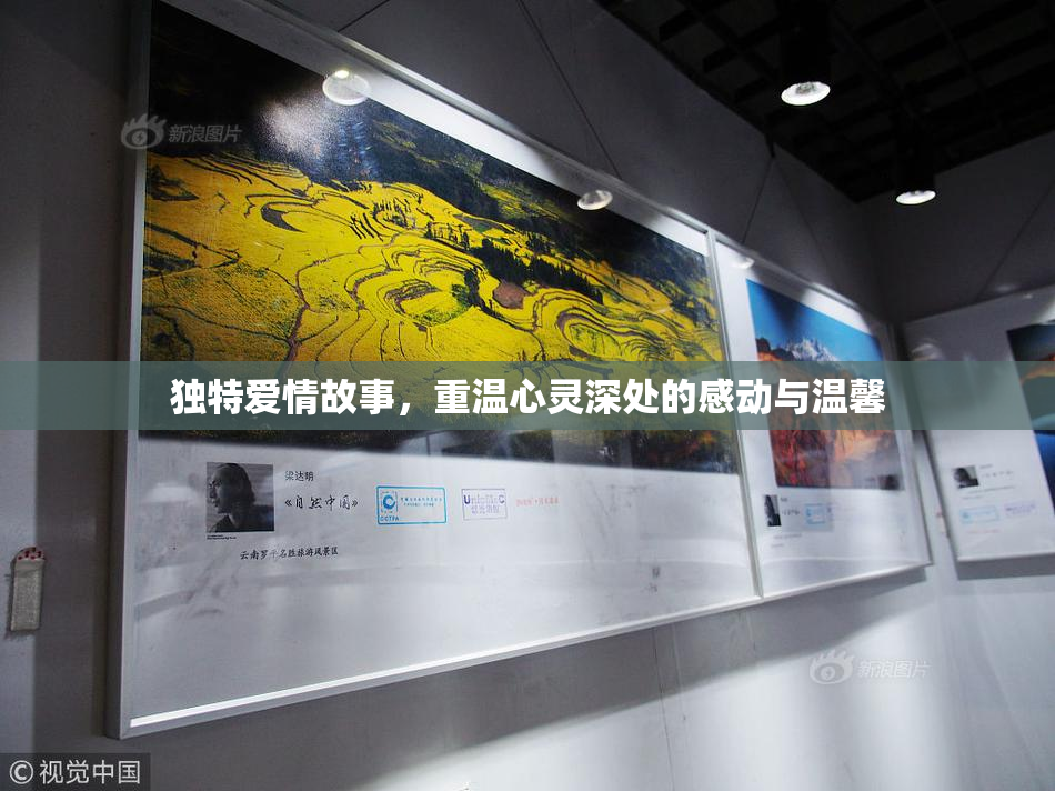 独特爱情故事，重温心灵深处的感动与温馨