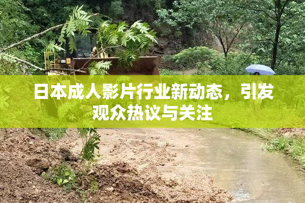 日本成人影片行业新动态，引发观众热议与关注