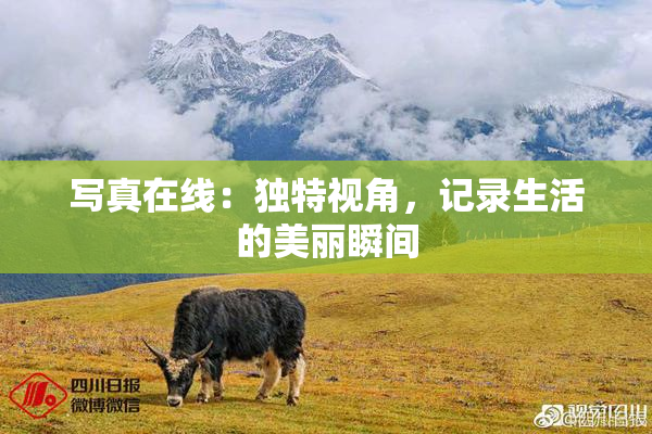 写真在线：独特视角，记录生活的美丽瞬间