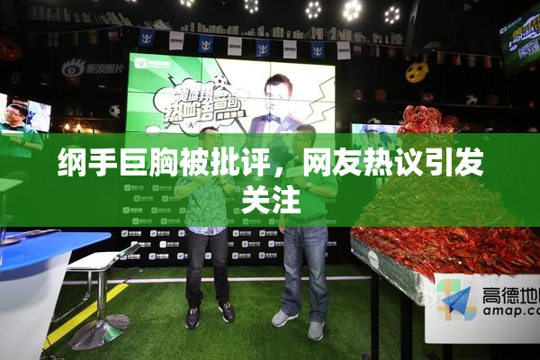 纲手巨胸被批评，网友热议引发关注