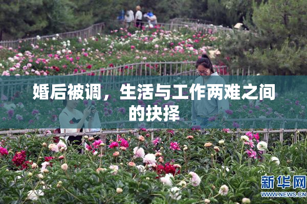 婚后被调，生活与工作两难之间的抉择