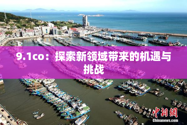 9.1co：探索新领域带来的机遇与挑战