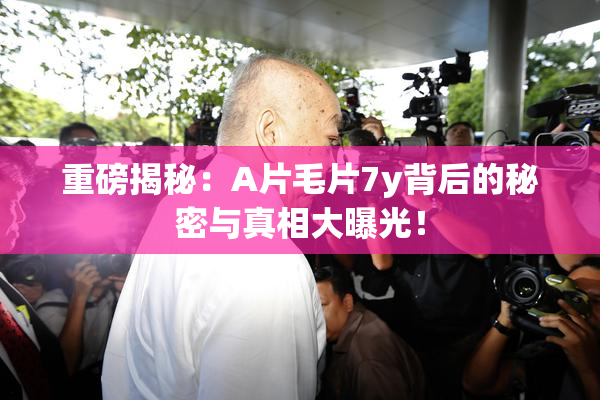 重磅揭秘：A片毛片7y背后的秘密与真相大曝光！