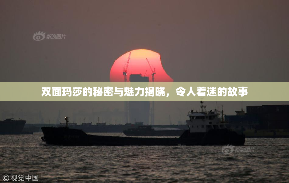 双面玛莎的秘密与魅力揭晓，令人着迷的故事