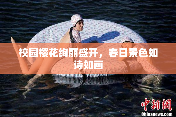 校园樱花绚丽盛开，春日景色如诗如画