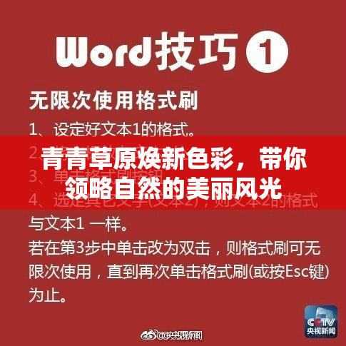 青青草原焕新色彩，带你领略自然的美丽风光