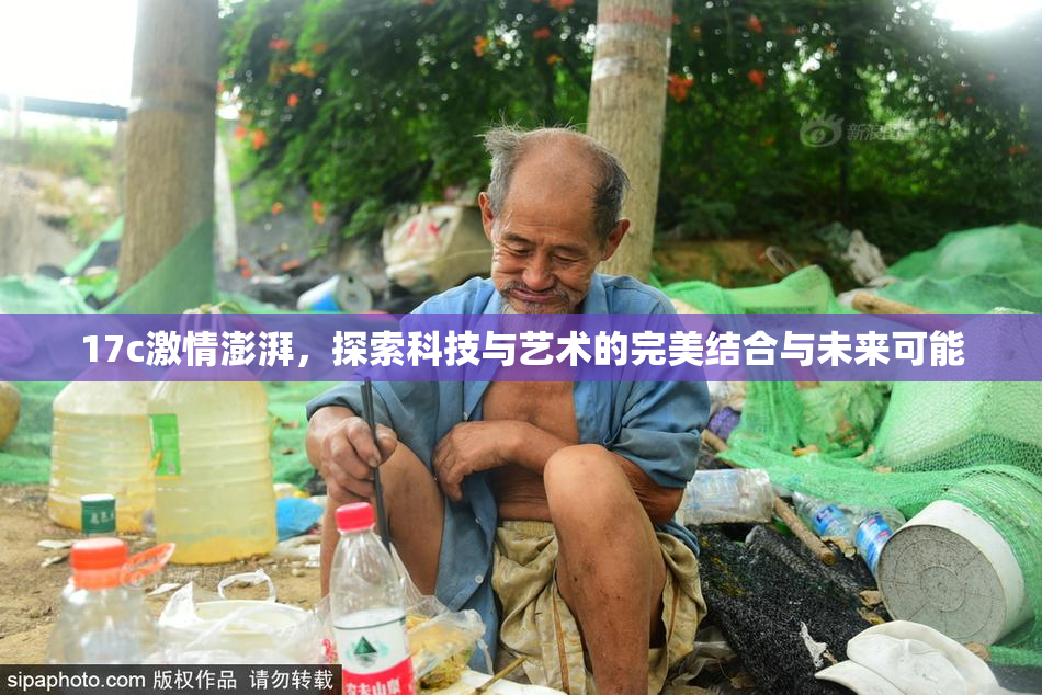 17c激情澎湃，探索科技与艺术的完美结合与未来可能