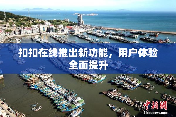 扣扣在线推出新功能，用户体验全面提升
