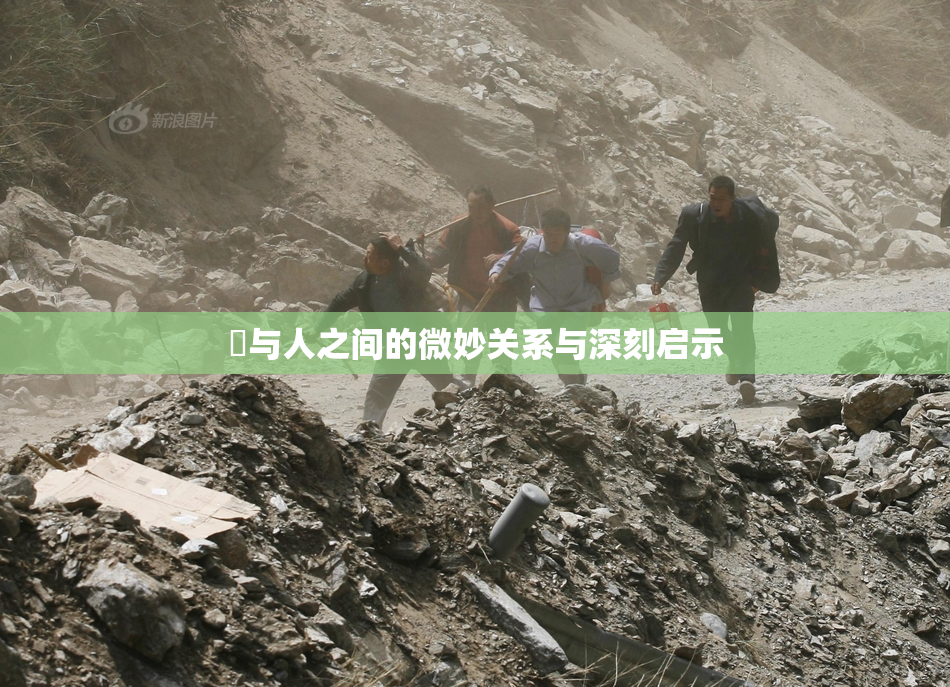 嘼与人之间的微妙关系与深刻启示