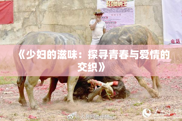 《少妇的滋味：探寻青春与爱情的交织》