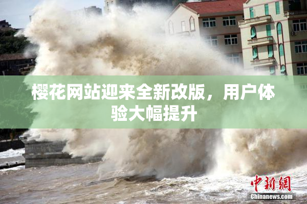 樱花网站迎来全新改版，用户体验大幅提升