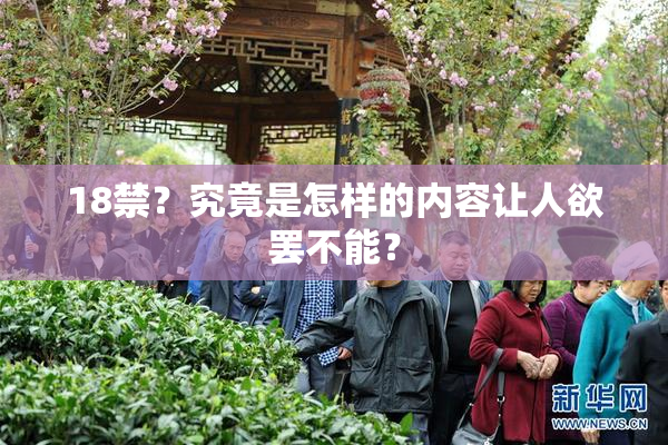18禁？究竟是怎样的内容让人欲罢不能？