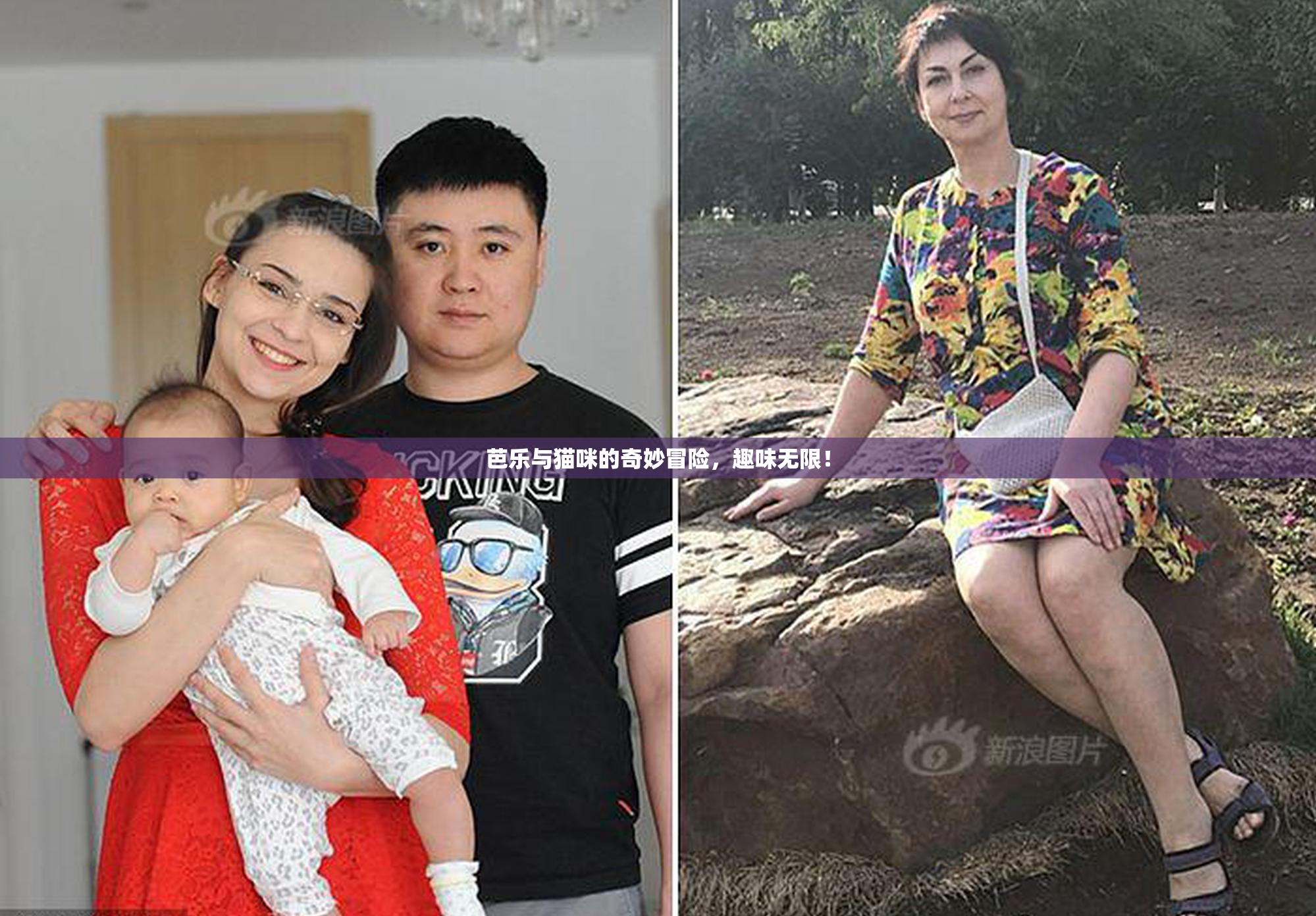 芭乐与猫咪的奇妙冒险，趣味无限！
