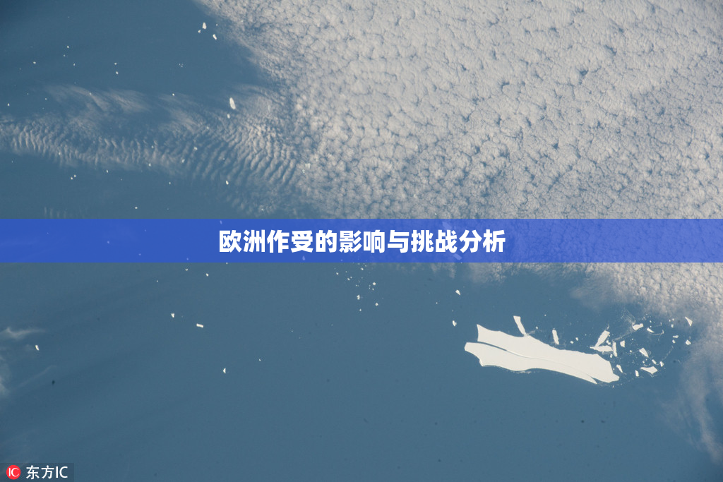 欧洲作受的影响与挑战分析
