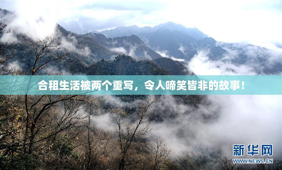 合租生活被两个重写，令人啼笑皆非的故事！