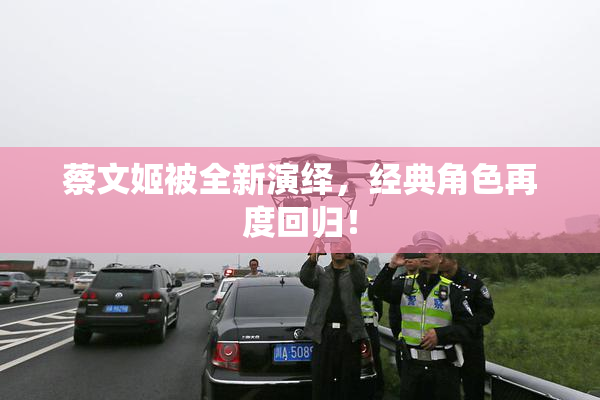 蔡文姬被全新演绎，经典角色再度回归！