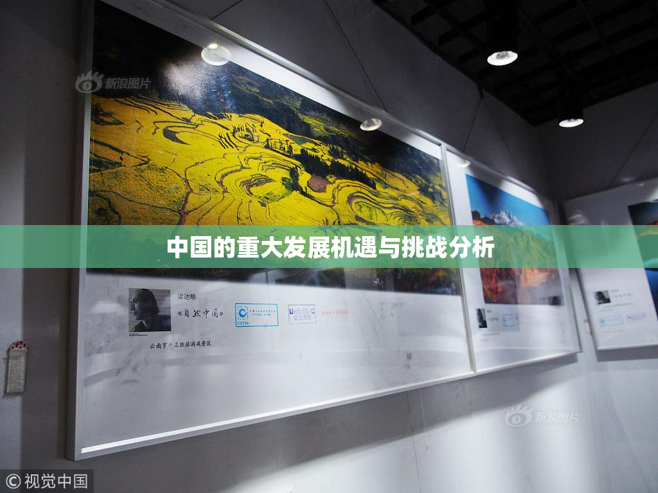 中国的重大发展机遇与挑战分析