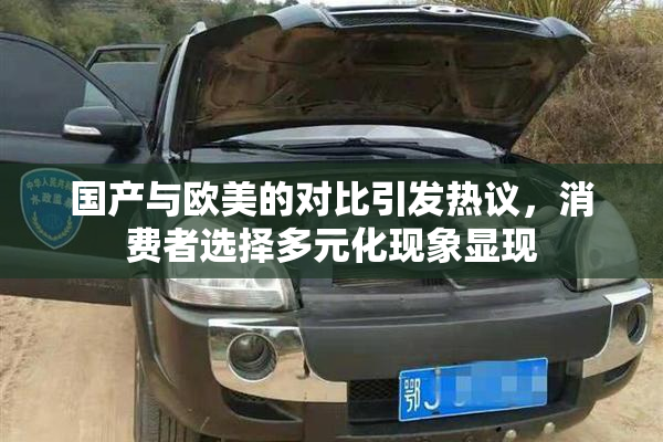 国产与欧美的对比引发热议，消费者选择多元化现象显现