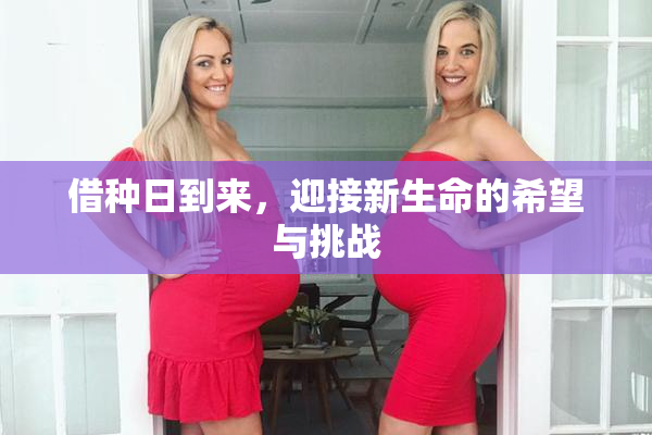 借种日到来，迎接新生命的希望与挑战