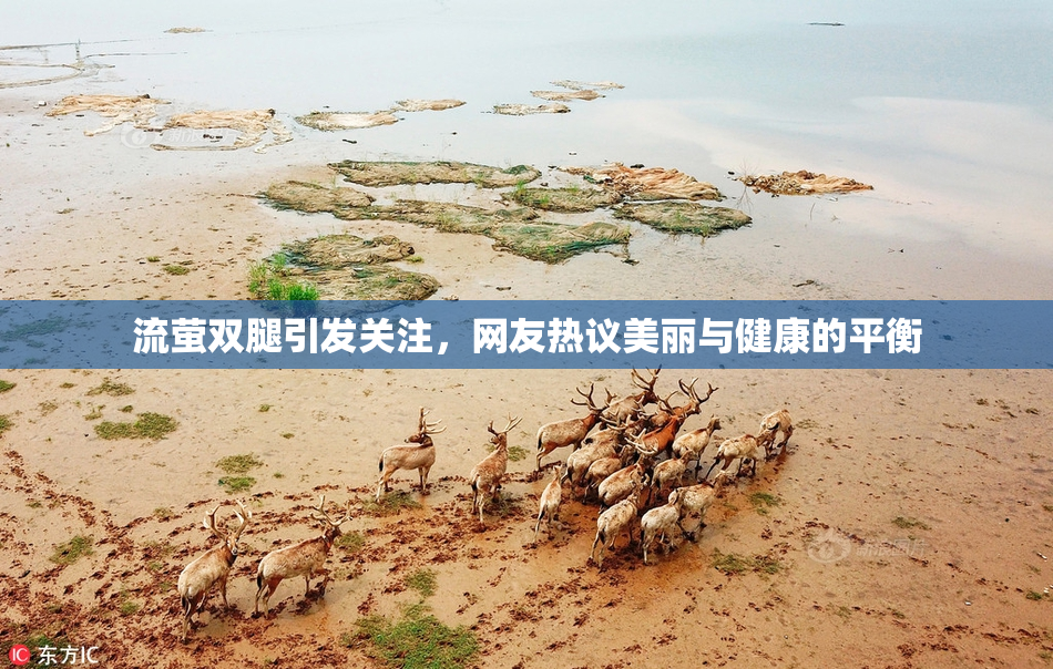 流萤双腿引发关注，网友热议美丽与健康的平衡