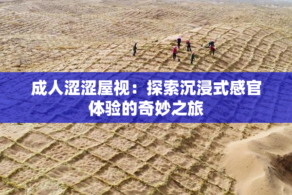 成人涩涩屋视：探索沉浸式感官体验的奇妙之旅