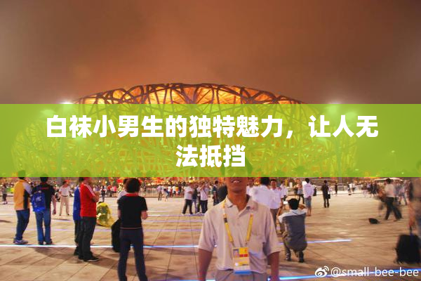 白袜小男生的独特魅力，让人无法抵挡