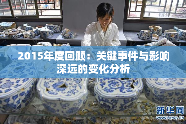 2015年度回顾：关键事件与影响深远的变化分析