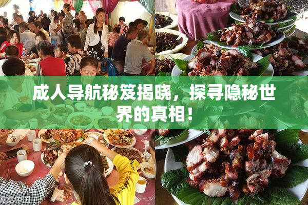 成人导航秘笈揭晓，探寻隐秘世界的真相！