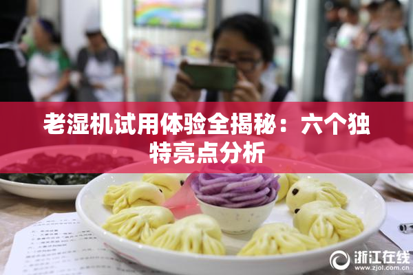 老湿机试用体验全揭秘：六个独特亮点分析