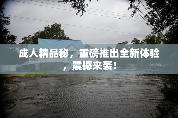 成人精品秘，重磅推出全新体验，震撼来袭！