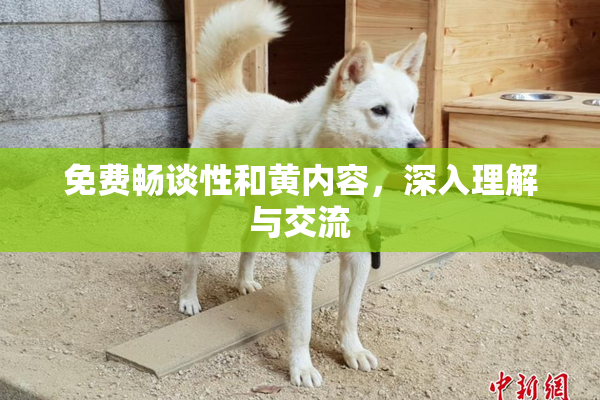 免费畅谈性和黄内容，深入理解与交流