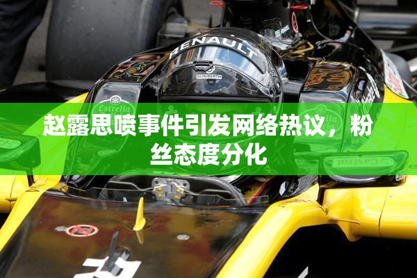 赵露思喷事件引发网络热议，粉丝态度分化