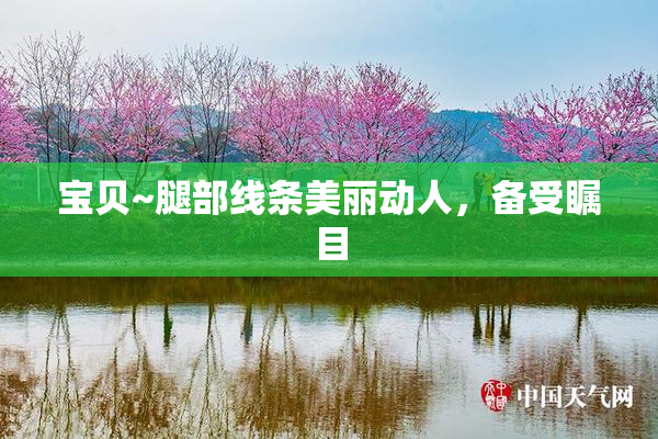 宝贝~腿部线条美丽动人，备受瞩目