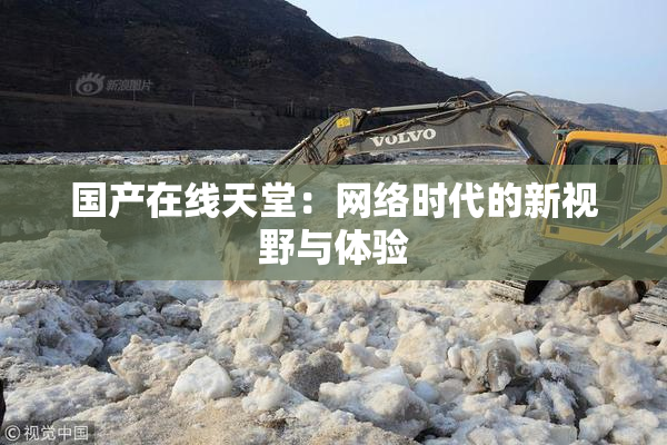 国产在线天堂：网络时代的新视野与体验