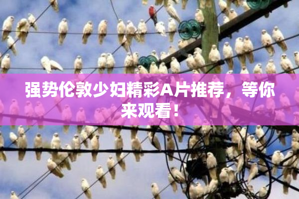 强势伦敦少妇精彩A片推荐，等你来观看！