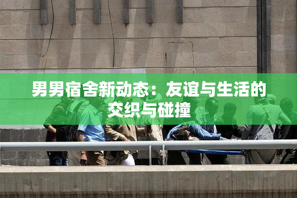 男男宿舍新动态：友谊与生活的交织与碰撞