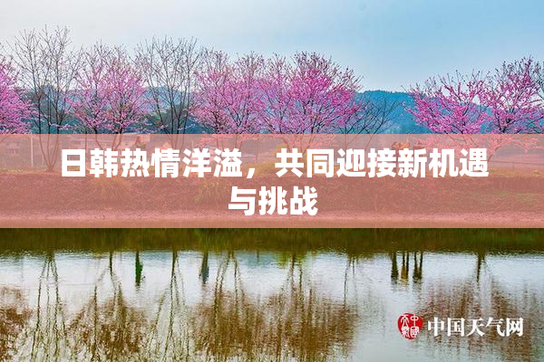 日韩热情洋溢，共同迎接新机遇与挑战