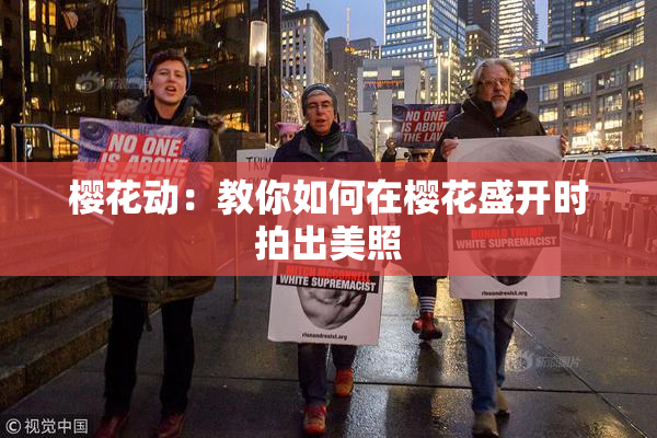 樱花动：教你如何在樱花盛开时拍出美照