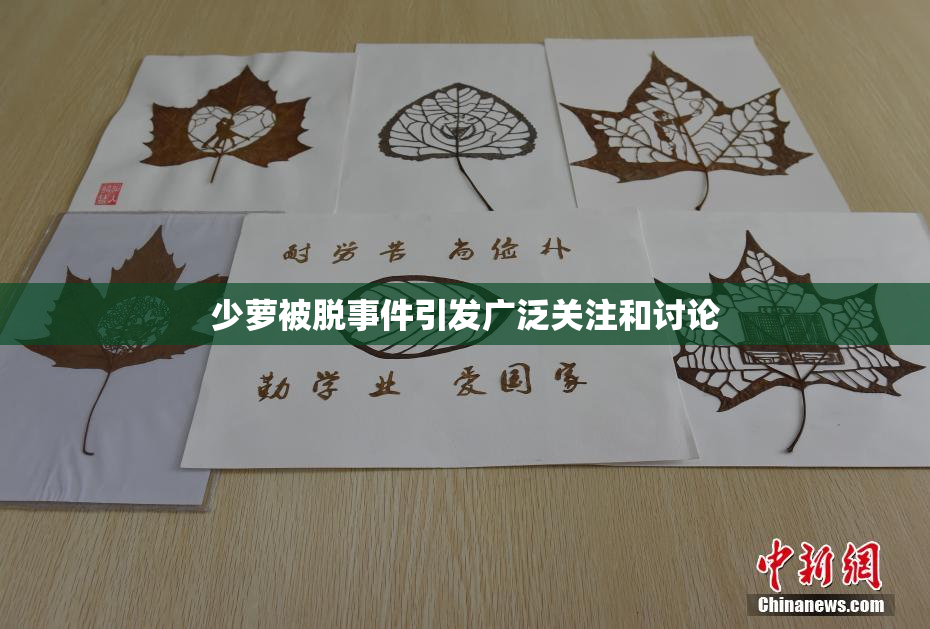 少萝被脱事件引发广泛关注和讨论