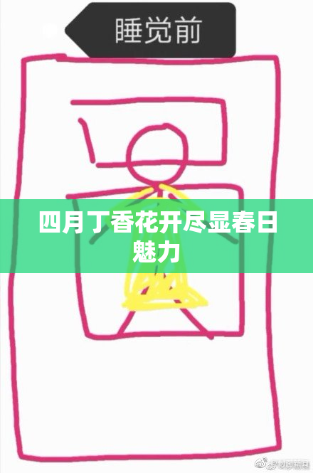 四月丁香花开尽显春日魅力