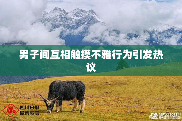 男子间互相触摸不雅行为引发热议