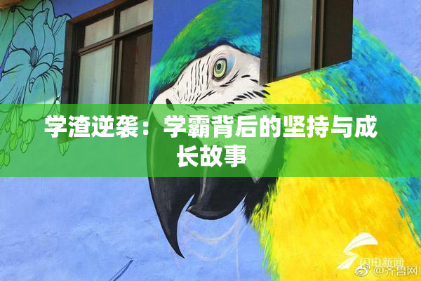 学渣逆袭：学霸背后的坚持与成长故事