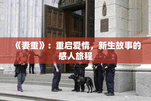 《妻重》：重启爱情，新生故事的感人旅程